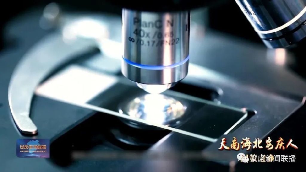 安慶電視臺專訪合景盛世集團朱紹群 安慶電視臺專訪合景盛世集團朱紹群